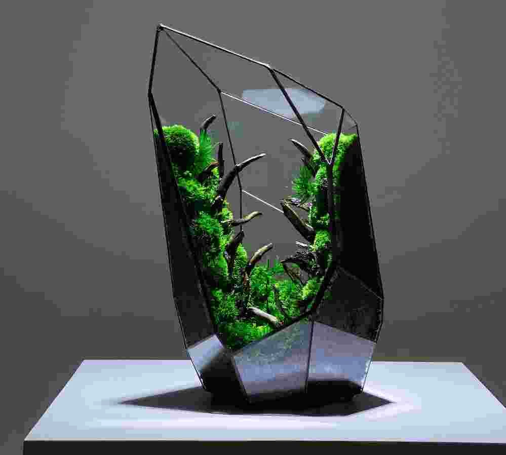geometric Terrarium